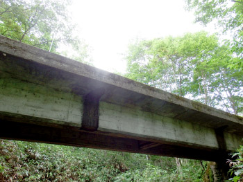 橋梁点検業務