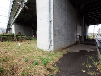 高架橋調査測量業務