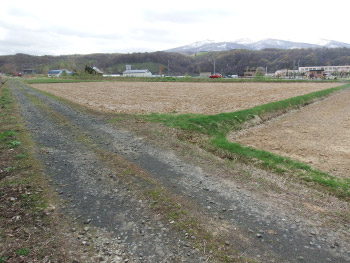 道の駅建設基本設計