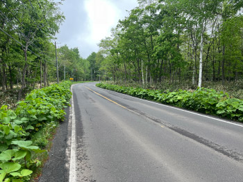 一般国道393号 赤井川村落合道路台帳図補正測量